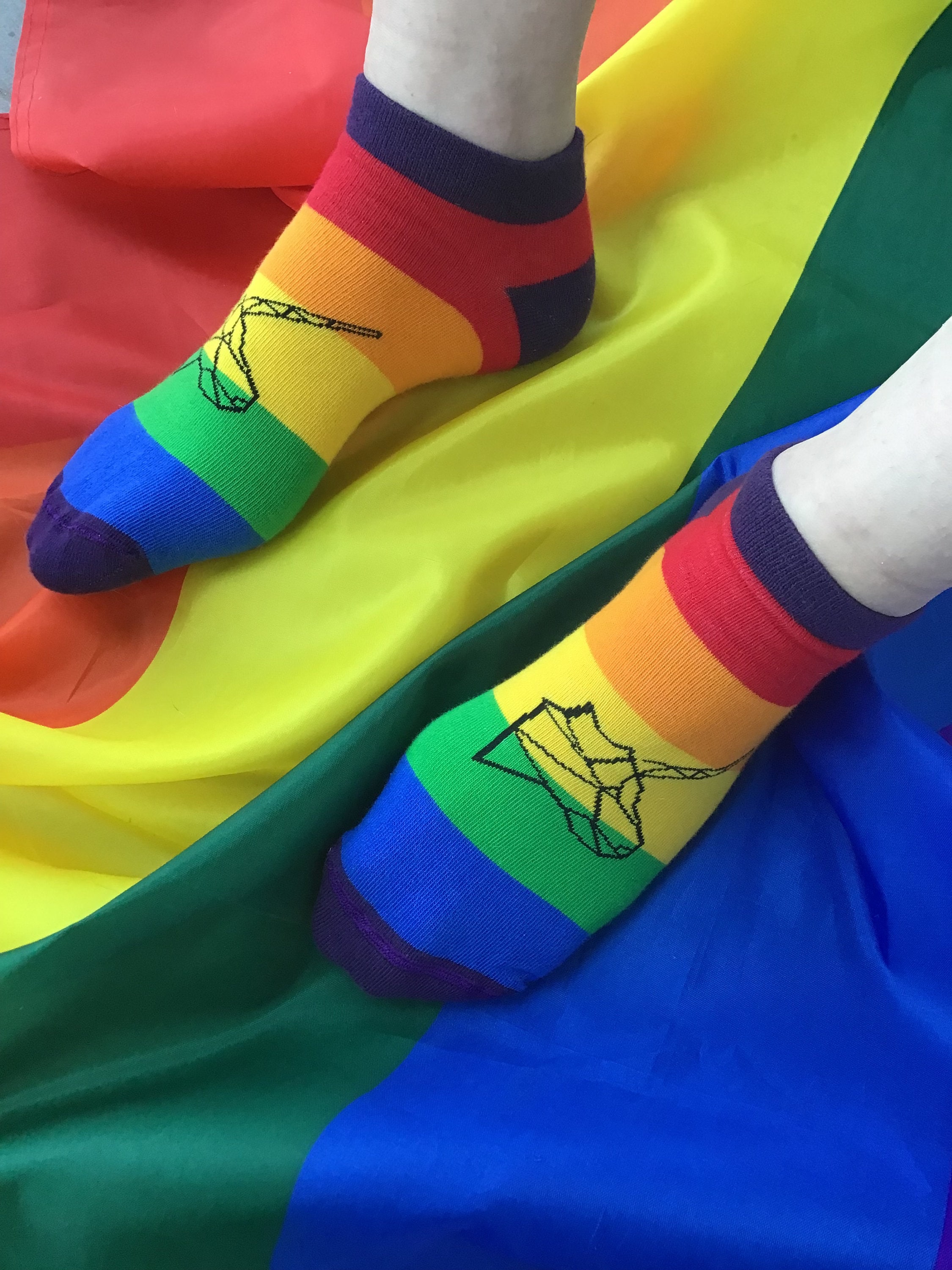 Pride Socks